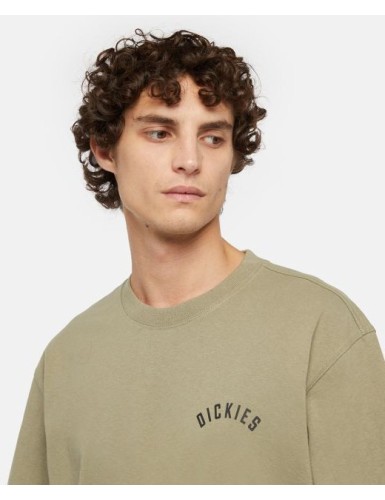 A24---dickies---PANTHER TEE DK0A4Z4I0IP_2_P.JPG