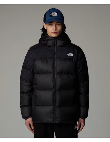 A24---the north face---DIABLO DOWN 20 NF0A8992PH51.JPG