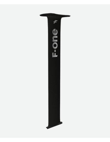 Y24---f one---HM CARBON MAST 14.JPG