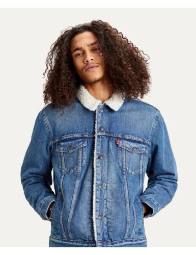 A21---levis---163650128.JPG