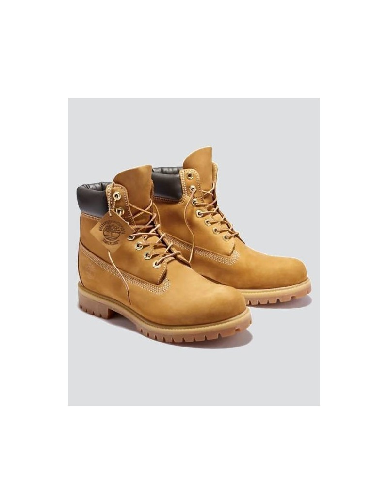 A22---timberland---10061.JPG