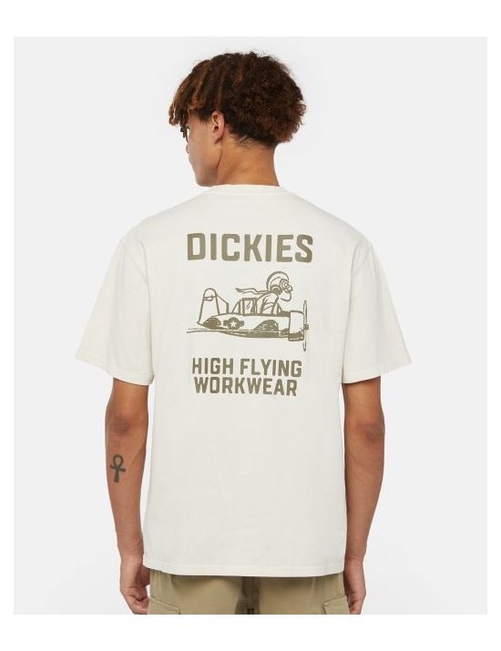 A24---dickies---FLYING DK0A863AC58.JPG