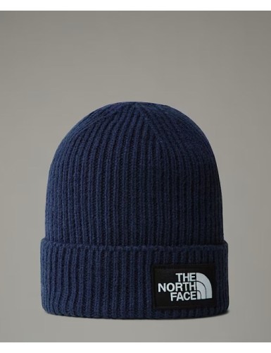 A24---the north face---LOGO BOX NF0A3FJX8K21.JPG