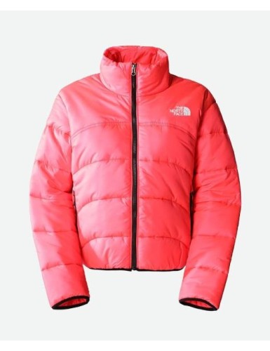 A22---the north face---W TNF JACKET397.JPG