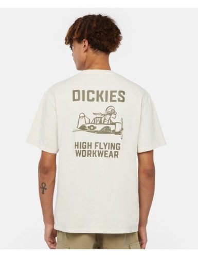 A24---dickies---FLYING DK0A863AC58.JPG