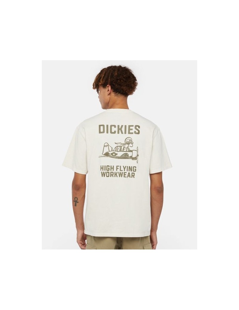 A24---dickies---FLYING DK0A863AC58.JPG